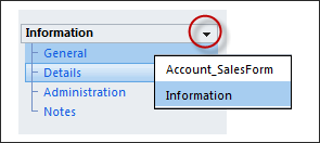 CRM 2011 look and feel for forms