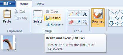 This is how you resize/change an icon in Dynamics CRM