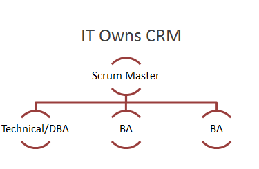 Who owns CRM - IT