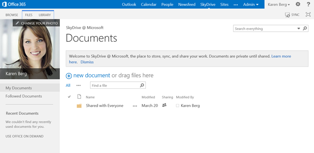 Microsoft Portal Online for Office 365 - SkyDrive