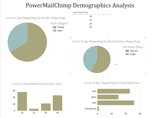 crm analysis and decision making with powermailchimp and power view