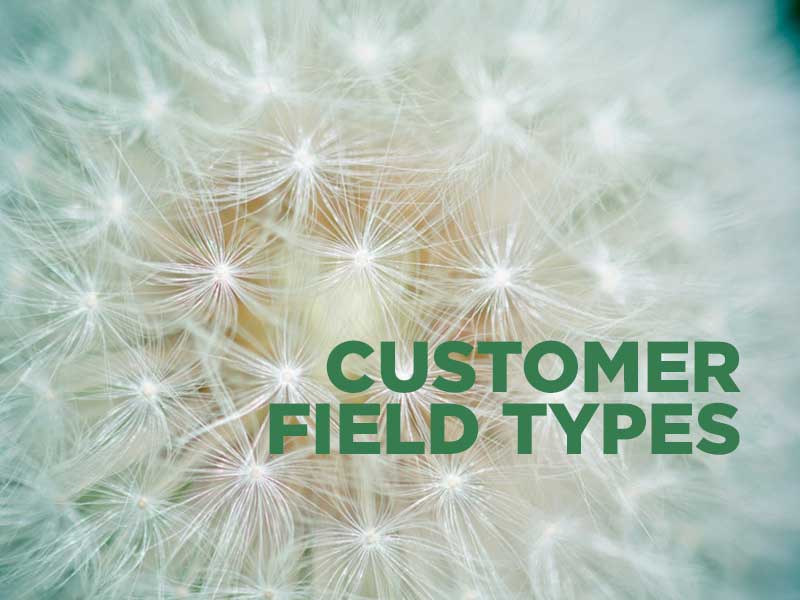 Customer Field Types